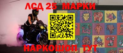 СК Кингисепп