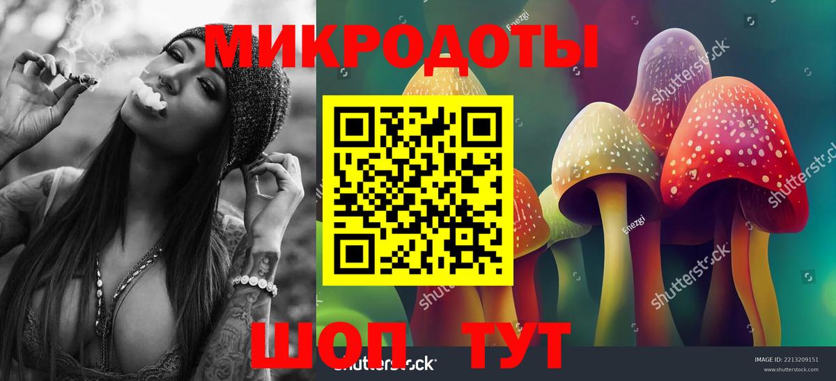Псилоцибиновые грибы GOLDEN TEACHER  Вход с VPN  Новокуйбышевск 